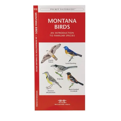 Montana Birds: A Folding Pocket Guide to Familiar Species