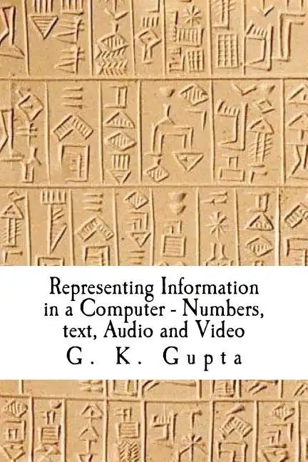 Representing Information in a Computer: Numbers, Text, Audio and Video - Paperback