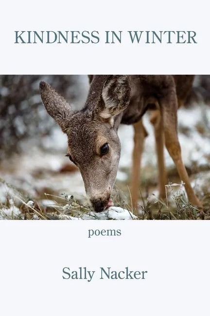 Kindness in Winter - Paperback