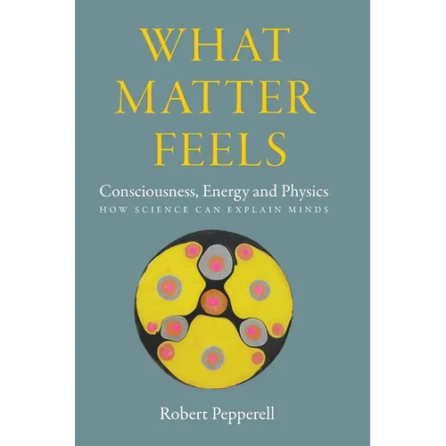 What Matter Feels: Consciousness, Energy and Physics (How Science can Explain Minds) - Hardcover