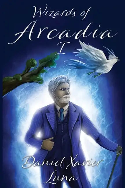 Wizards of Arcadia 1 - Paperback