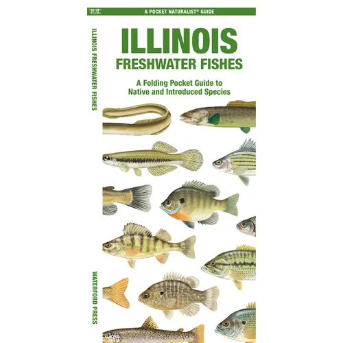 Illinois Freshwater Fishes - Paperback