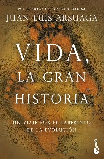 Vida, La Gran Historia - Paperback