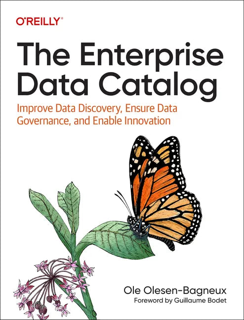 The Enterprise Data Catalog: Improve Data Discovery, Ensure Data Governance, and Enable Innovation - Paperback