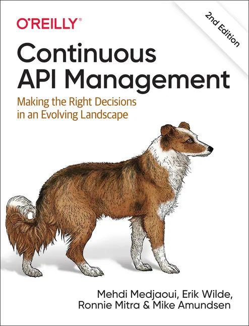 Continuous API Management: Making the Right Decisions in an Evolving Landscape - Paperback