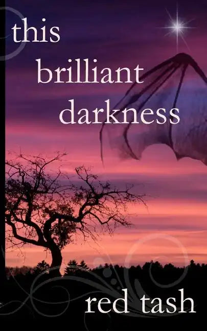 This Brilliant Darkness - Paperback