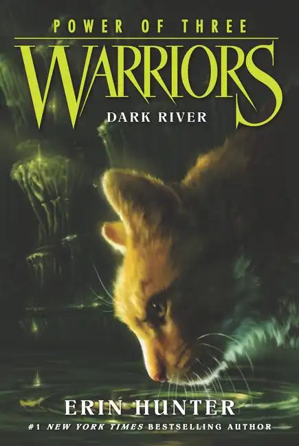 Warriors: Power of Three #2: Dark River - Paperback