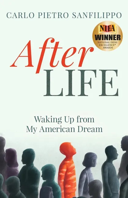 AfterLIFE: Waking Up from My American Dream - Paperback