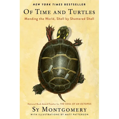 Of Time and Turtles: Mending the World, Shell by Shattered Shell - Paperback