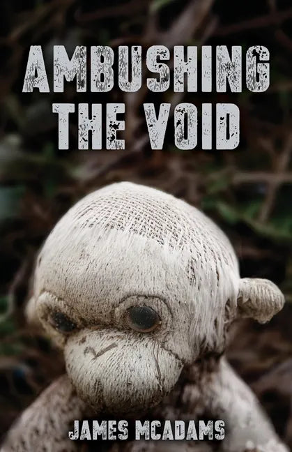 Ambushing the Void - Paperback