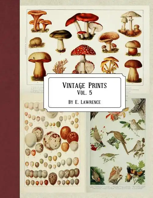 Vintage Prints: Vol. 5 - Paperback