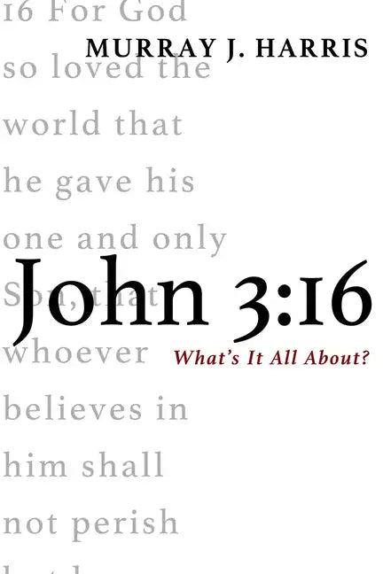 John 3:16: What's It All About? - Paperback