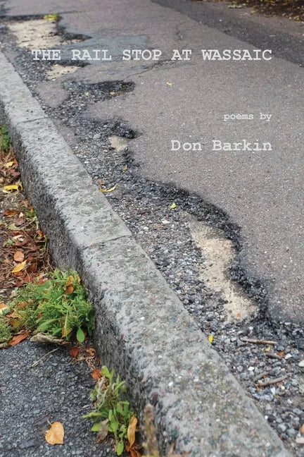 The Rail Stop at Wassaic - Paperback