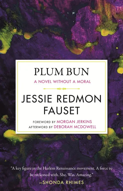 Plum Bun: A Novel Without a Moral - Paperback
