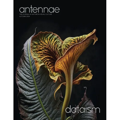 Antennae #65 Dataism - Paperback