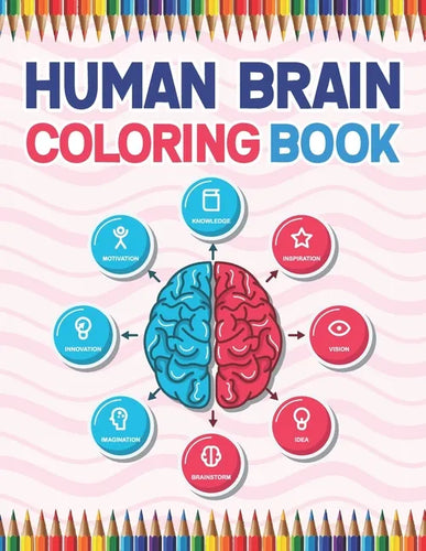 Human Brain Coloring Book: The Human Brain Coloring Book. Human Brain Model Anatomy, Human Brain Diagram, Human Brain Art, Human Brain and Human - Paperback
