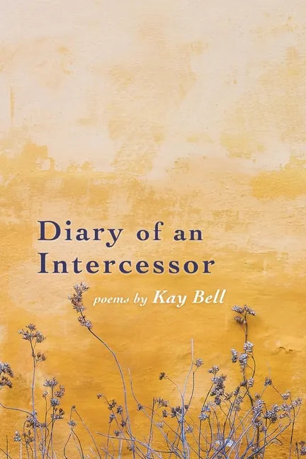 Diary of an Intercessor - Paperback