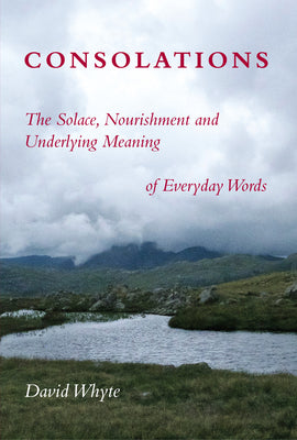 Consolations: The Solace, Nourishment and Underlying Meaning of Everyday Words - Paperback