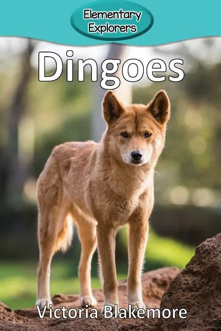 Dingoes - Paperback