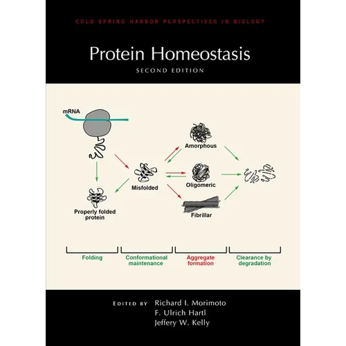 Protein Homeostasis, Second Edition - Hardcover