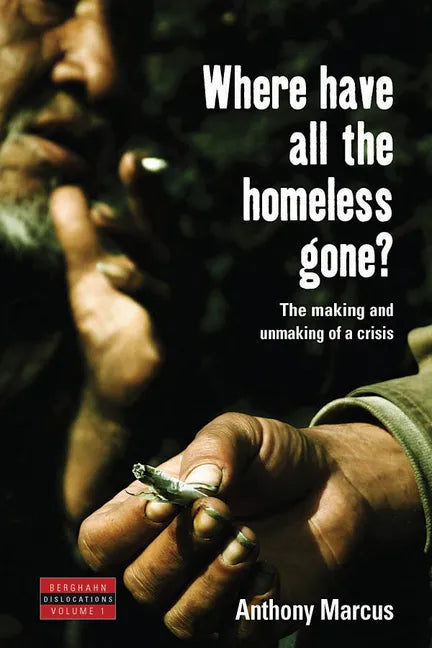 Where Have All the Homeless Gone?: The Making and Unmaking of a Crisis - Paperback