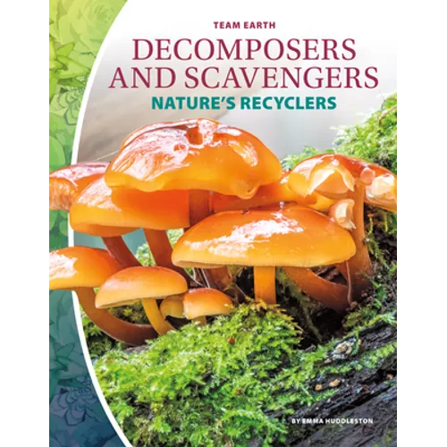 Decomposers and Scavengers: Nature's Recyclers: Nature's Recyclers - Library Binding