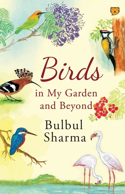 Birds in My Garden and Beyond - Paperback