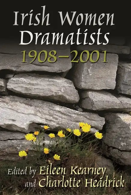 Irish Women Dramatists: 1908-2001 - Paperback