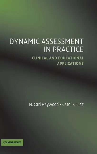 Dynamic Assessment in Practice - Hardcover