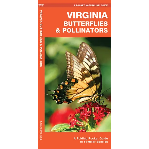 Virginia Butterflies & Pollinators: A Folding Pocket Guide to Familiar Species