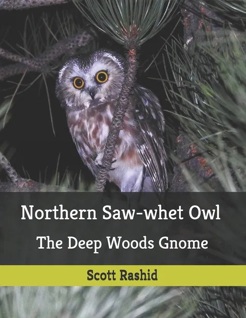 Northern Saw-whet Owl: The Deep Woods Gnome - Paperback