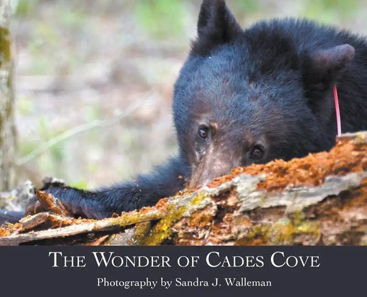The Wonder of Cades Cove - Hardcover