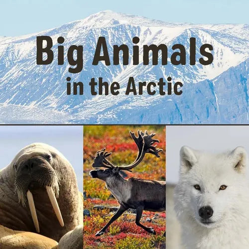 Big Animals in the Arctic: English Edition - Paperback
