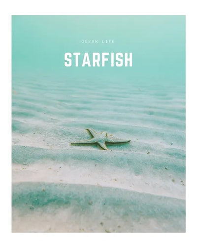 Starfish: A Decorative Book │ Perfect for Stacking on Coffee Tables & Bookshelves │ Customized Interior Design & Home Decor - Paperback