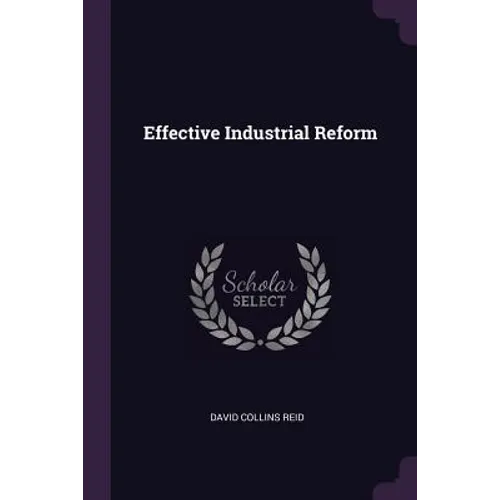 Effective Industrial Reform - Paperback