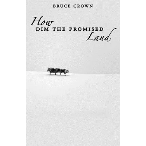 How Dim the Promised Land - Paperback
