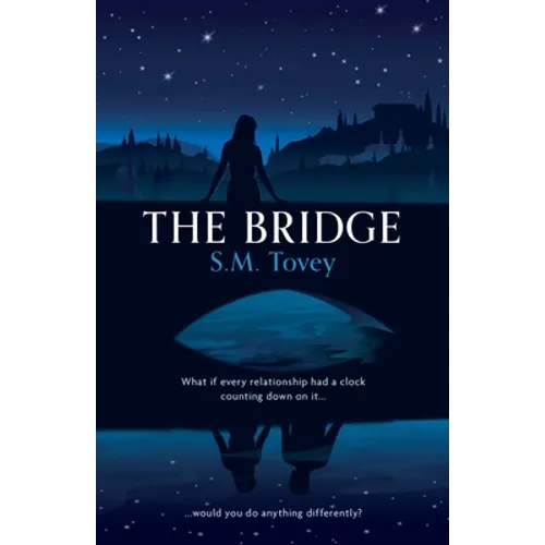 The Bridge - Paperback