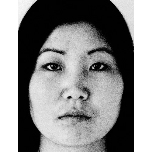 Theresa Hak Kyung Cha: Multiple Offerings - Paperback
