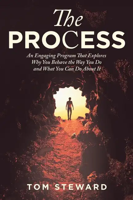The Process: An Engaging Program That Explores Why You Behave the Way You Do and What You Can Do About It - Paperback