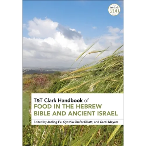 T&t Clark Handbook of Food in the Hebrew Bible and Ancient Israel - Paperback