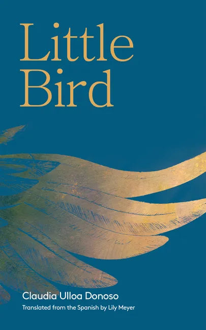 Little Bird - Paperback