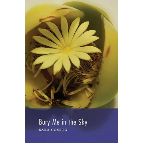 Bury Me in the Sky - Paperback