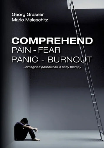 Comprehend Pain-Fear-Panic-Burnout: Unimagined Possibilities in Body Therapy - Paperback