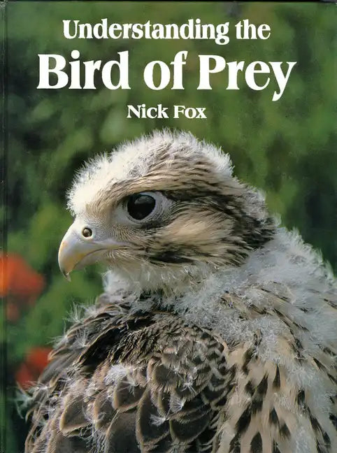 Understanding the Bird of Prey - Hardcover