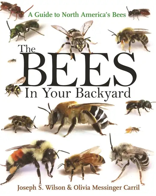 The Bees in Your Backyard: A Guide to North America's Bees - Paperback
