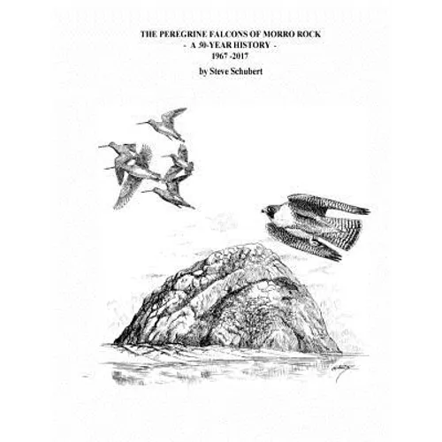 The Peregrine Falcons of Morro Rock - A 50-Year History: 1967 - 2017 - Paperback