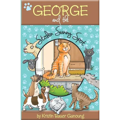 George and the Stolen Sunny Spot - Paperback