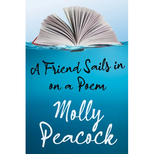 A Friend Sails in on a Poem: Essays on Friendship, Freedom and Poetic Form - Paperback
