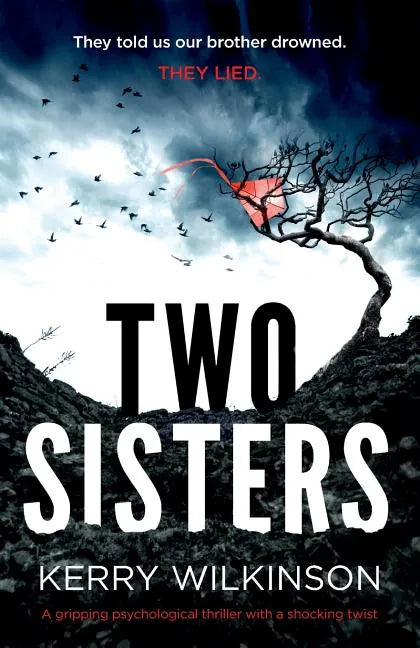 Two Sisters: A gripping psychological thriller with a shocking twist - Paperback