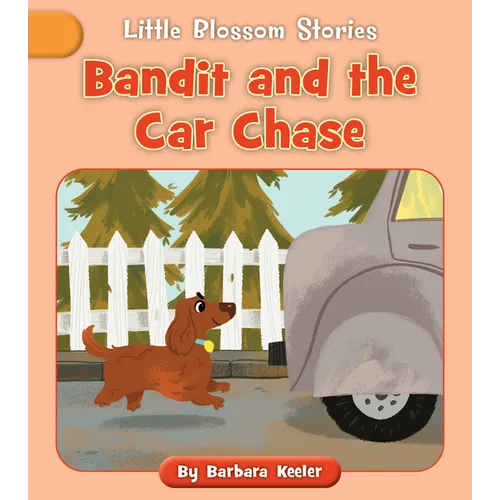 Bandit and the Car Chase - Paperback